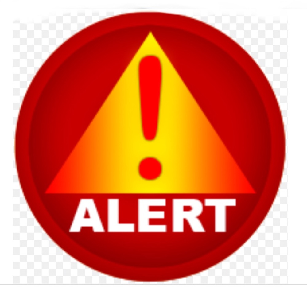 Alert Please Read & Share Gloss Blk Shoes - image 1